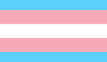 Dia Nacional da Visibilidade Trans: conheça os direitos previdenciários das pessoas transexuais