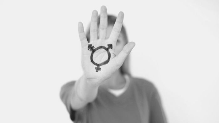 PORTAL JE | Aposentadoria de transexuais: como solucionar a equação