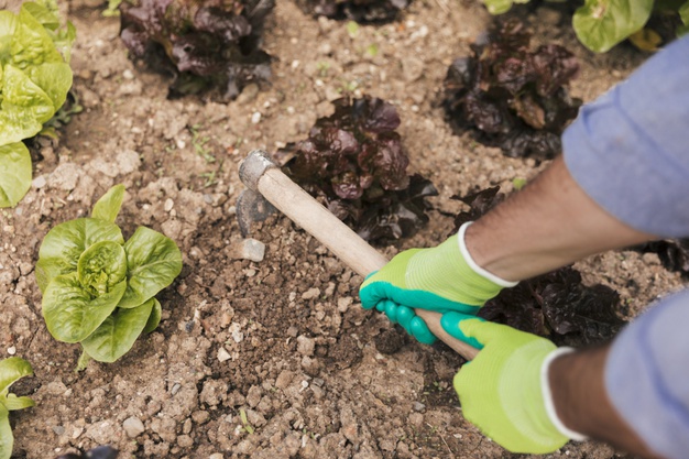 APOSENTADORIA POR IDADE HÍBRIDA