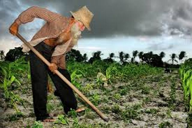 APOSENTADORIA POR IDADE RURAL: IDADE E ATIVIDADE RURAL COMPROVADAS POR INÍCIO DE PROVA MATERIAL CORROBORADO POR TESTEMUNHAL