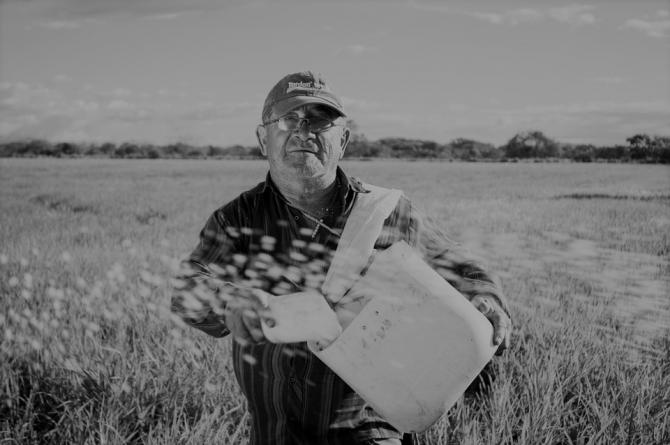 CONCESSÃO DE BENEFÍCIO POR INCAPACIDADE À AGRICULTOR