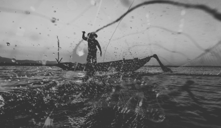 Contribuição do segurado especial