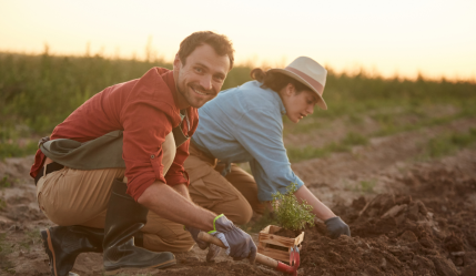 O RECONHECIMENTO DO TRABALHO RURÍCOLA E A CONQUISTA DA APOSENTADORIA POR TEMPO DE CONTRIBUIÇÃO OU POR IDADE.