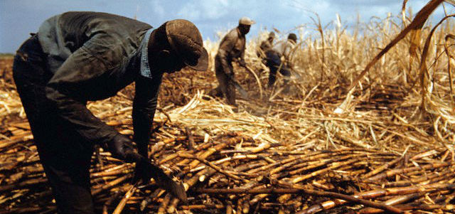 PENSÃO POR MORTE A MÃE DE TRABALHADOR RURAL