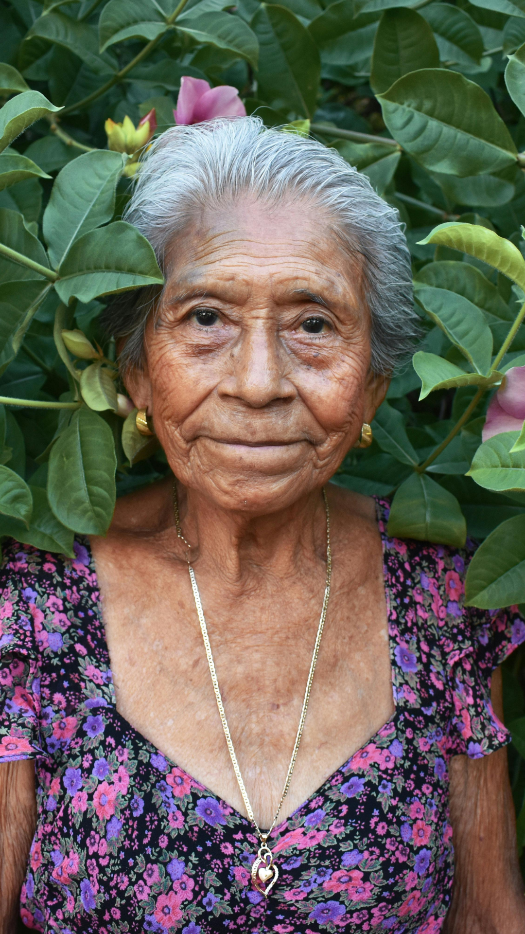 Maria de Lourdes Freitas